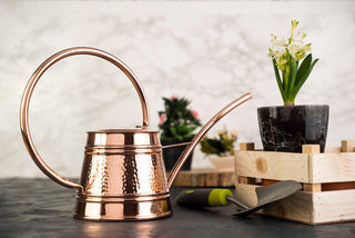 Solid Copper Watering Can for Garden | Handmade Copper Planter Vessel 2000ml | Long Spout Model