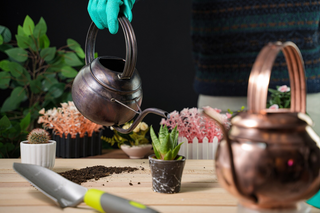 Handmade Patina Copper Watering Can | Artisan-Made Copper Planter Pot for Stylish Indoor & Outdoor Gardening
