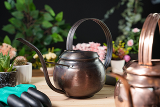 Handmade Patina Copper Watering Can | Artisan-Made Copper Planter Pot for Stylish Indoor & Outdoor Gardening