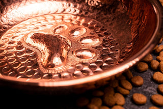 Copper Pet Feeding Bowl Food Container | Handcrafted Stylish 100% Copper Pet Water Bowl 170 mm